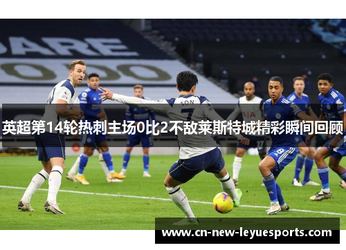 英超第14轮热刺主场0比2不敌莱斯特城精彩瞬间回顾