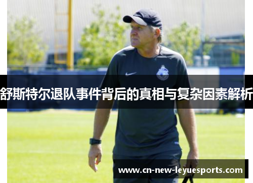 舒斯特尔退队事件背后的真相与复杂因素解析