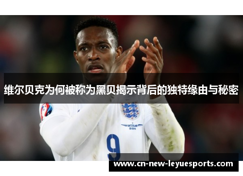 维尔贝克为何被称为黑贝揭示背后的独特缘由与秘密