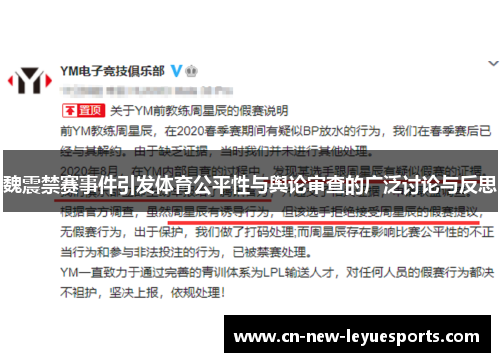 魏震禁赛事件引发体育公平性与舆论审查的广泛讨论与反思